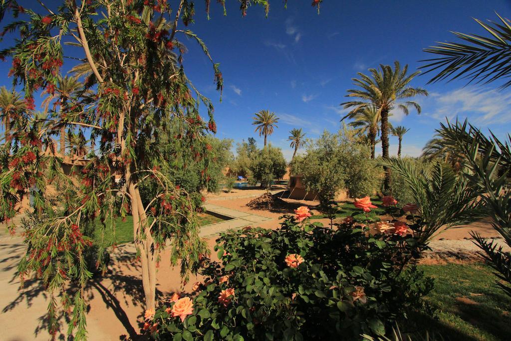 Hotel Kasbah 123 Soleil Skoura Exteriér fotografie